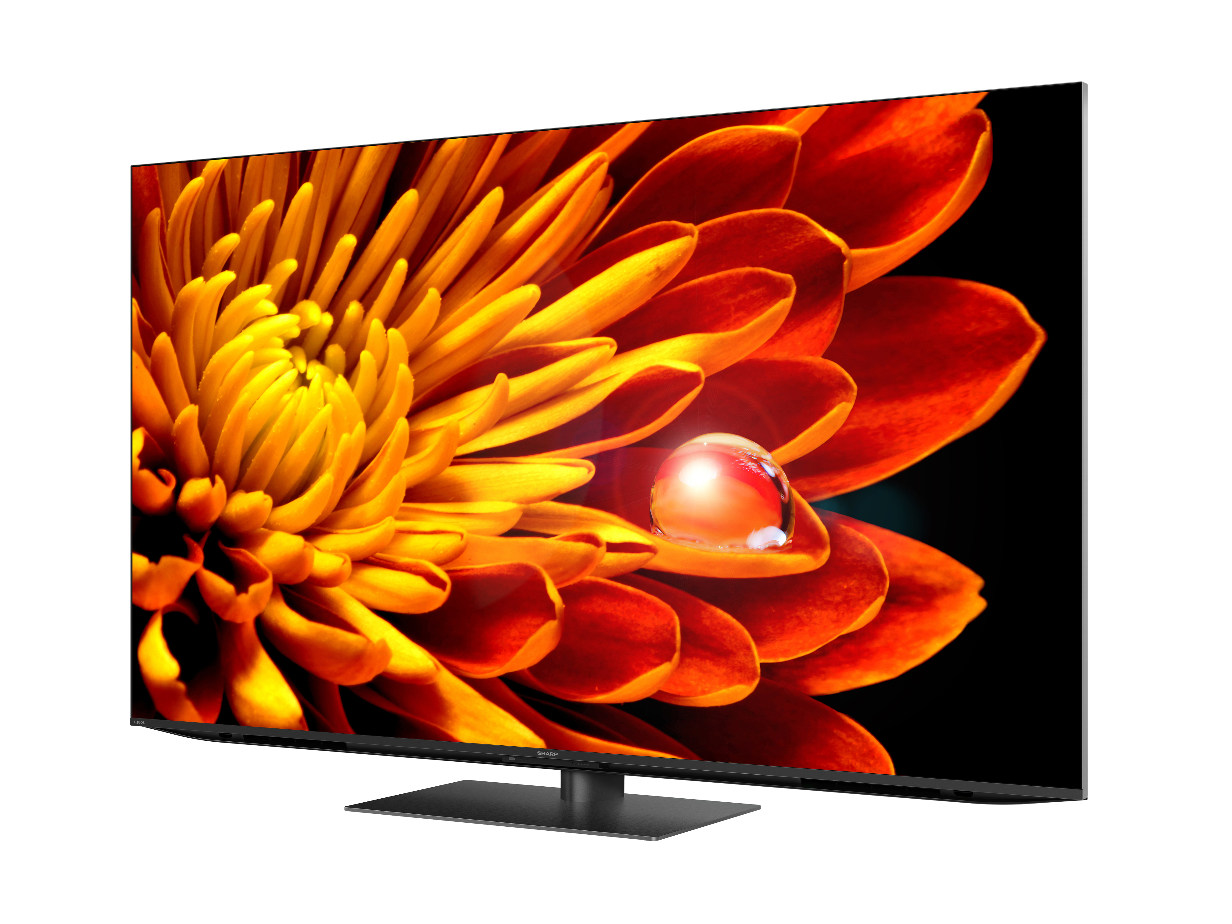 Sharp 65″ Aquos XLED TV | 4T-C65FV1X